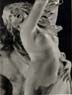 Bernini_Apollo_and_Daphne_detail